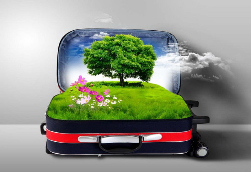 مسافرت سبز چیست؟چگونه یک مسافر سبز باشیم؟